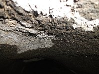 otte Scorciavacca20110306 107